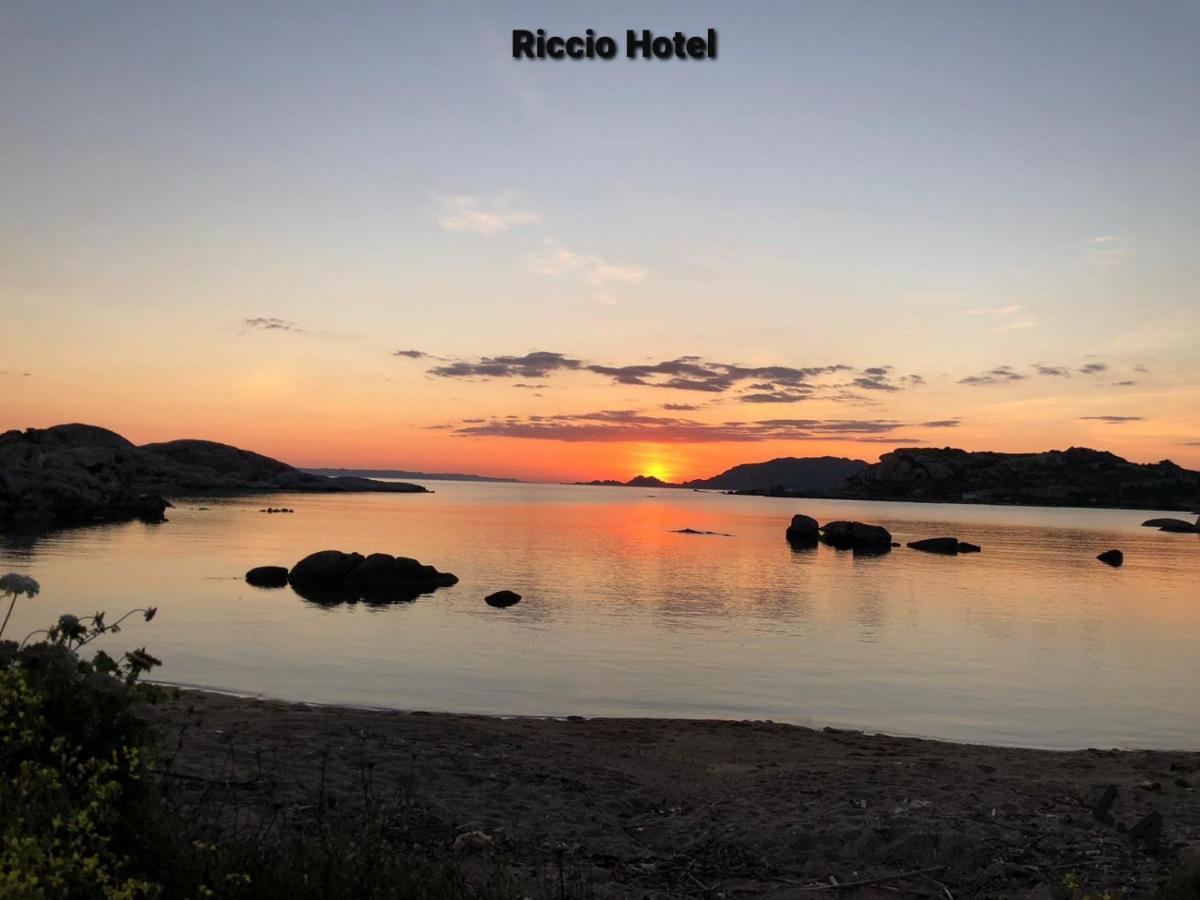 Hotel Riccio 3*