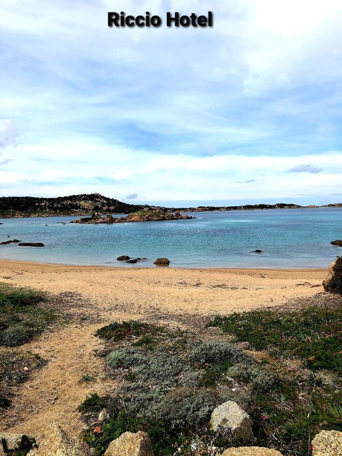 Riccio 3* La Maddalena (Sassari)